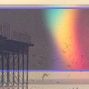 e-좋은안경콘택트 이미지