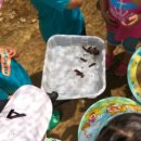 사우어린이집 이미지