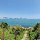 이기대자연공원 티스토리