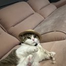 아이디어마산점