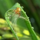 물의 기억 이미지