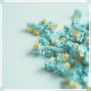 바다PC | 하이무 바다소금 축 스위치 6개월 써본 솔직 후기