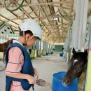 부산국제승마장 이미지