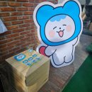 성수 KOICA peko 평화의숲 팝업전시 방문 후기(10/08-10/10)