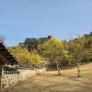 순천자연휴양림 이미지