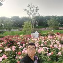 장미원 당구장 Daum카페