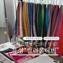 대전퍼스널컬러진단 잘하는 곳 추천! 유성 컬러온더비 솔직 후기
