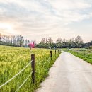 죽성농장 이미지