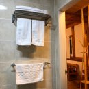 동화나라 애견 이미지