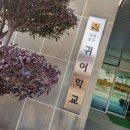 전남 귀어 출강 중 봄꽃 맞이 강진 설성식당 영랑생가지 이미지