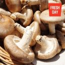 태석농장 이미지