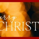 다른 넘버들은 별생각 없는데 디파잉그래비티는 계속 옥주현 영상으로 돌아가게 돼,, 이미지