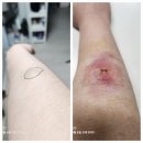 현대통통의원 이미지