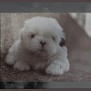 백제문화관광단지 | 흥미로운 백제문화관광단지 체험투어 후기