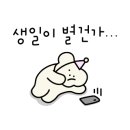 데일리갈비