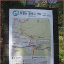 생태다리 이미지