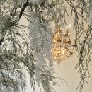 솔향한식부페 이미지