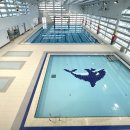 맹동혁신 국민체육센터(수영장) 이미지