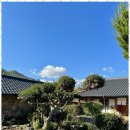 돌담집민박 이미지