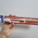 (주)코레코 | 임산부 약해진 치아관리 하는 방법