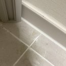 퍼스트컴퍼니 | 순천 한결줄눈 푸르지오 더 퍼스트 | 순천 줄눈 시공 업체