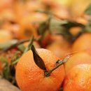 영산로 284 이미지