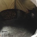 (주)레이넷 이미지