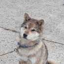 서천휴리조트펜션 클림트동 이미지