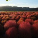 원세차장 이미지