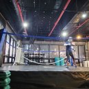 메이져 복싱 이미지