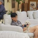 4월 아동 내게 온 문화창고 | 애견동반 당일치기 국내여행 충남 당진 코스 추천 (면천콩국수, 골정저수지, 면천창고)