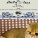 샤인모어 이미지