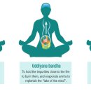 반다요가 이미지