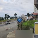 더 퍼피즈 블루오션 이미지