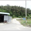 안국천 티스토리