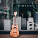 우쿨렐레 이미지