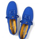 다즐링(Dazzling) 이미지