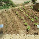 운송초등학교 이미지