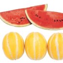 닥터사운드 이미지