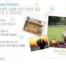 솔마을펜션 이미지