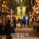 용인 보정동 카페거리, 인스타 맛집 '코지가든'으로 새 단장﻿ 이미지