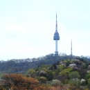 남산 이미지