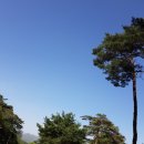 무주덕유산리조트산림욕장 네이버블로그
