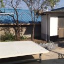 봉화경북약국 이미지