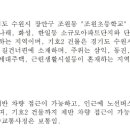 럭스빌 이미지