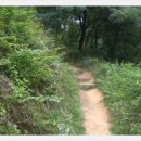 충주체육관 다목적경기장 이미지