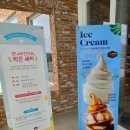 윤쉐프 | 양주 베이커리 카페 추천! 매일 굽는 빵이 맛있는 윤쉐프 정직한 제빵소 본점 방문 후기
