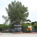 바다놀이터 이미지