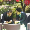 진행정사 이미지