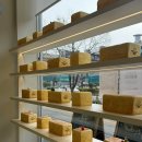 주정차단속-101 이미지